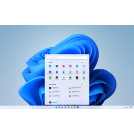 Windows 11 Professional 5, 10, 50, 100 PZ Ingrosso – Attivazione Online