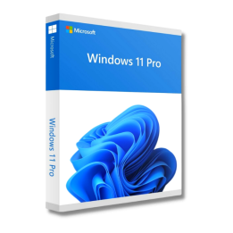 Microsoft Windows 11 Professional ESD Retail - Attivazione Telefonica